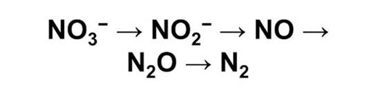 So-do-nitrat-hoa-nuoc-thai