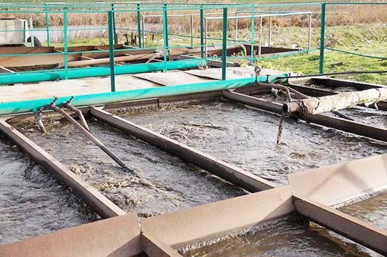 Be-xu-ly-nuoc-thai-sinh-hoc