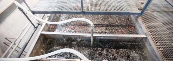 He-thong-loc-nghien-rac