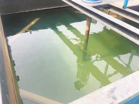 Cong-ty-XNLT-dong-nai