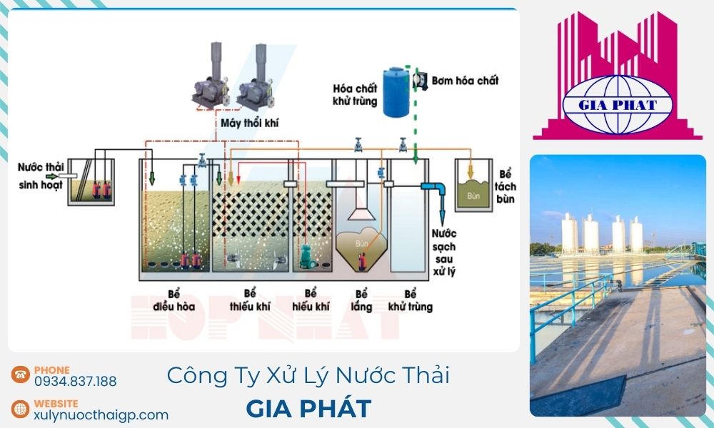 Cac-giai-doan-trong-qua-trinh-xu-ly