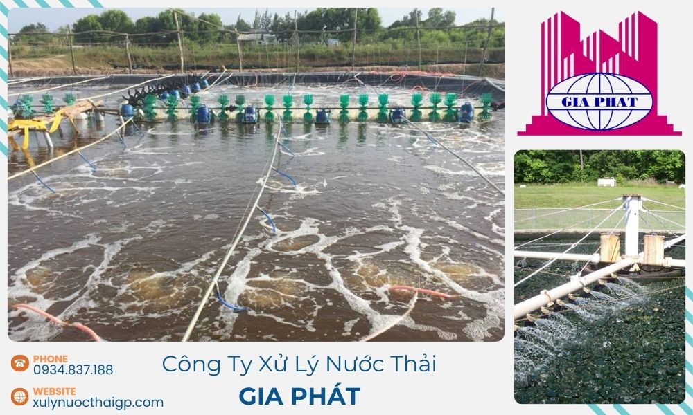 Ung-dung-cong-nghe-sinh-hoc-trong-xu-ly-nuoc-thai