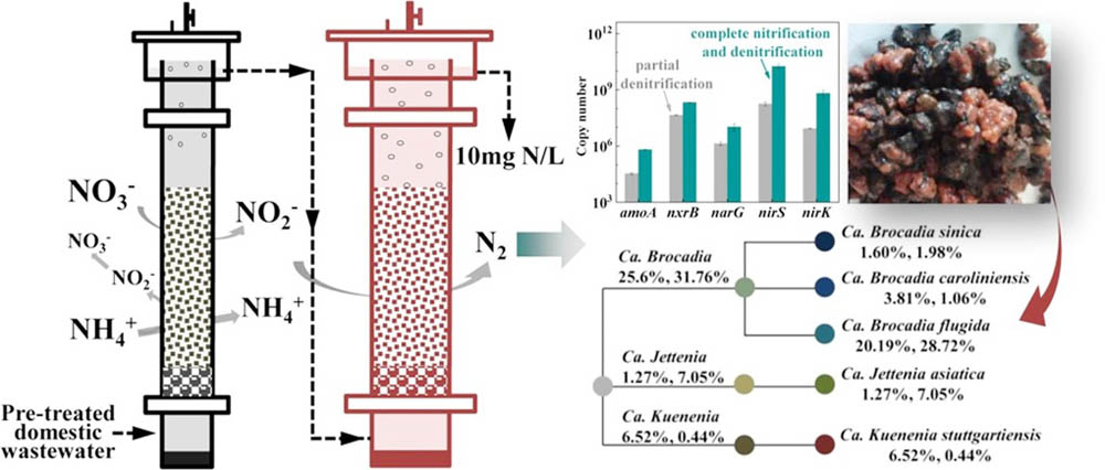 Bo-loc-sinh-hoc-trong-he-thong-xu-ly-nuoc-thai