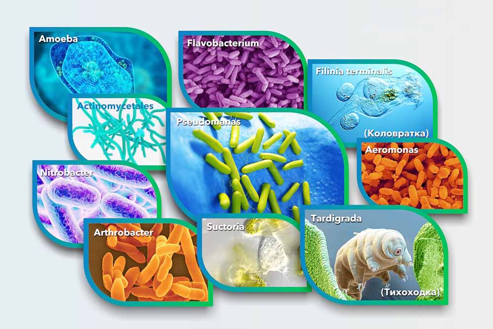 ung-dung-cua-bo-loc-sinh-hoc