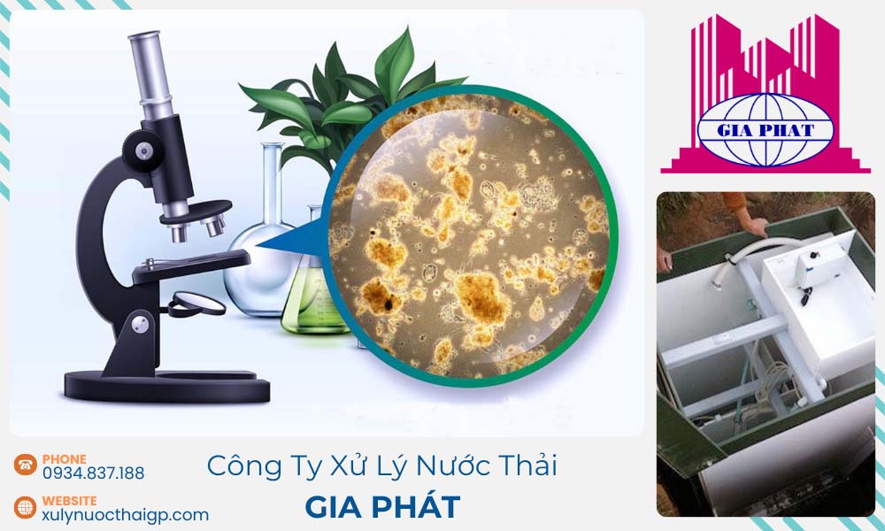 Chi-tieu-xu-ly-nuoc-thai-chuan-loai-B