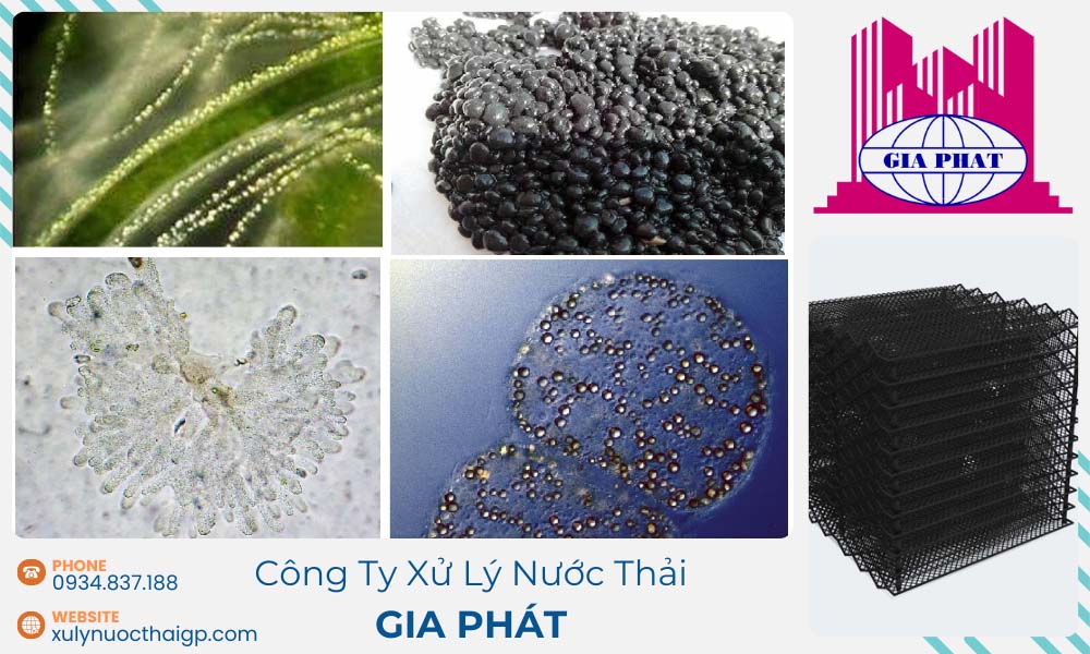 he-thong-xu-ly-nuoc-thai-dat-chuan-loai-B
