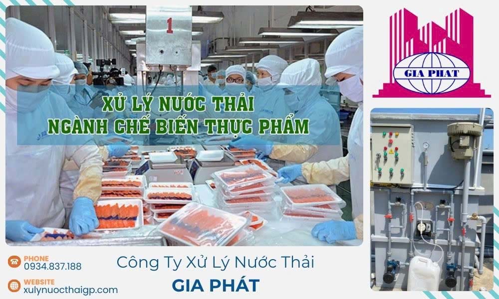 He-thong-xu-ly-nuoc-thai-cho-xuong-che-bien-thuc-pham