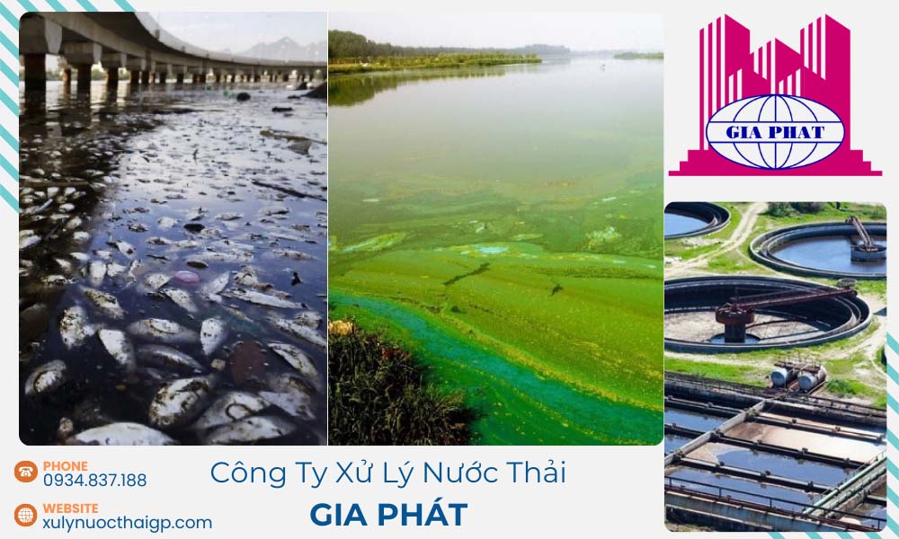 xu-ly-nuoc-thai-chan-nuoi-bang-thuc-vat