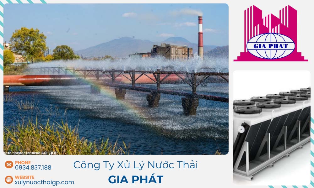 he-thong-be-nen-bun-trong-xu-ly-nuoc-thai