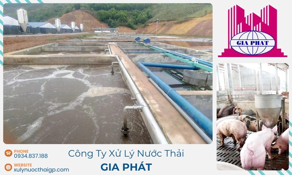 xu-ly-nuoc-thai-tu-trai-chan-nuoi-heo