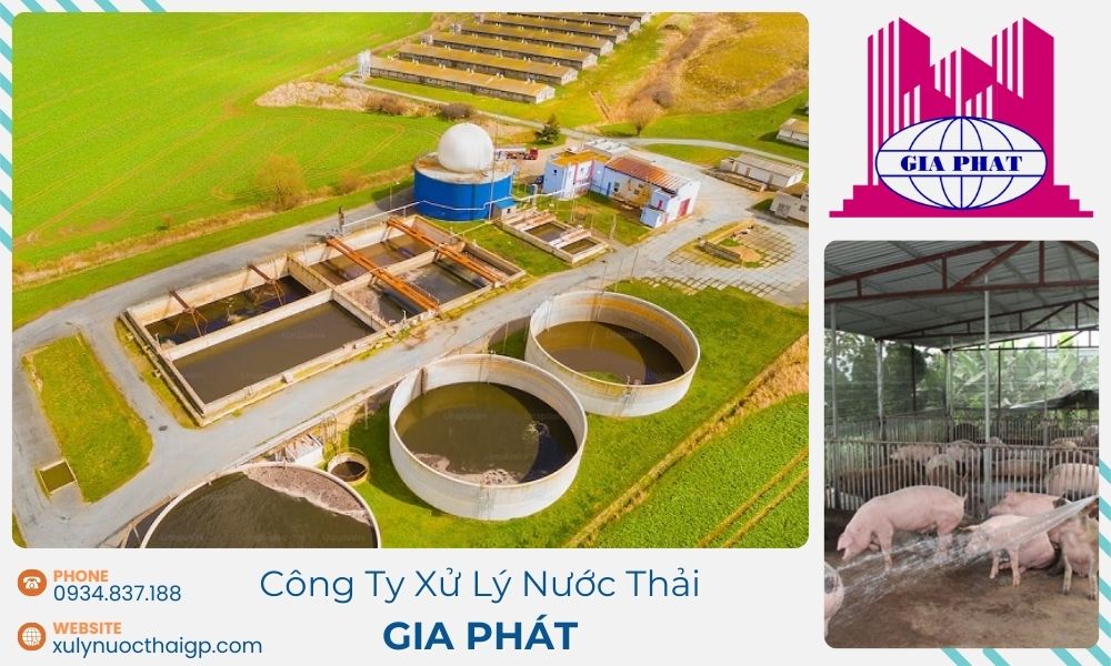 xu-ly-nuoc-thai-cho-trai-chan-nuoi-heo