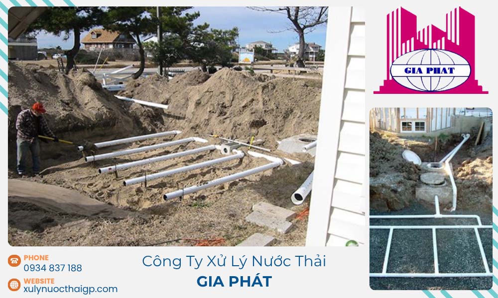 dau-hieu-nhan-biet-vi-sinh-xu-ly-nuoc-thai-chet-hang-loat