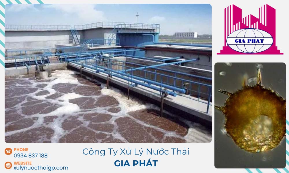 mau-nuoc-thai-dau-ra-cua-he-thong-xu-ly-nuoc-thai