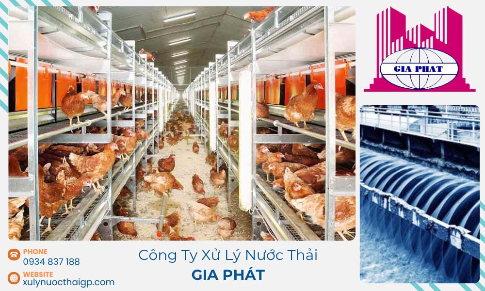 Trang-trai-chan-nuoi-va-he-thong-xu-ly-nuoc-thai-tien-tien