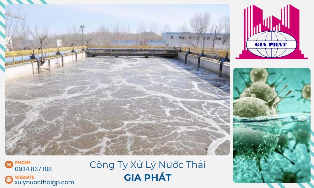 Van-hanh-bao-tri-he-thong-xlnt