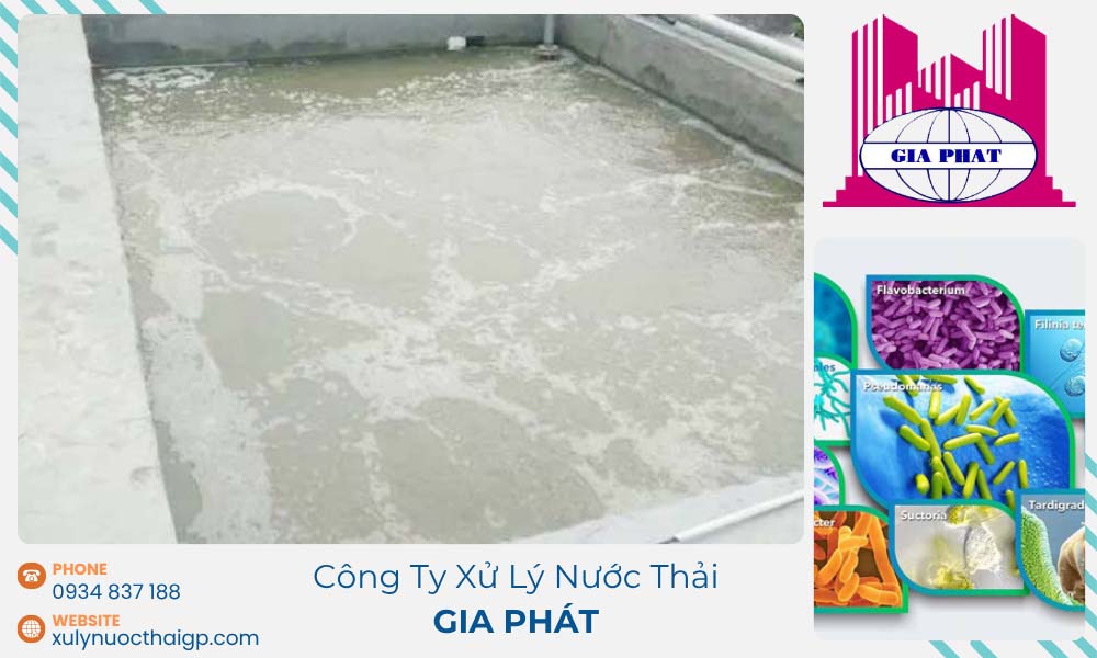 bun-gia-trong-be-aerotank-xu-ly-nuoc-thai-la-gi