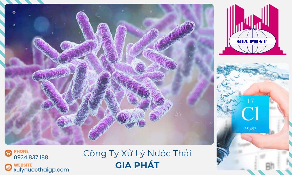 Kiiem-soat-ph-kiem-khi-khoi-phuc-he-vi-sinh