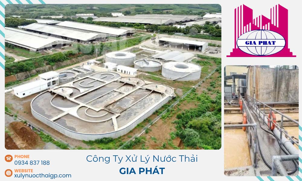 Khi-nao-can-thay-the-gia-the-sinh-hoc-cho-be-xu-ly-nuoc-thai