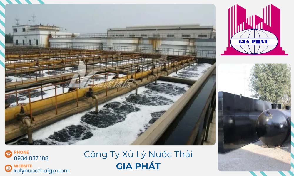 Nuoi-cay-vi-sinh-be-xu-ly-nuoc-thai-sinh-hoc