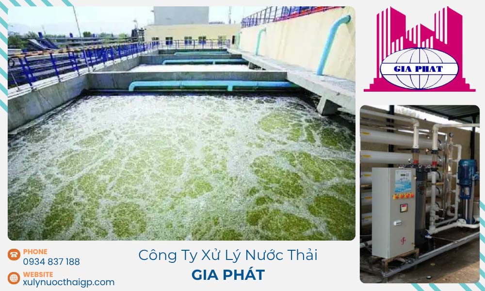 Vai-tro-cua-vi-sinh-trong-xu-ly-nuoc-thai