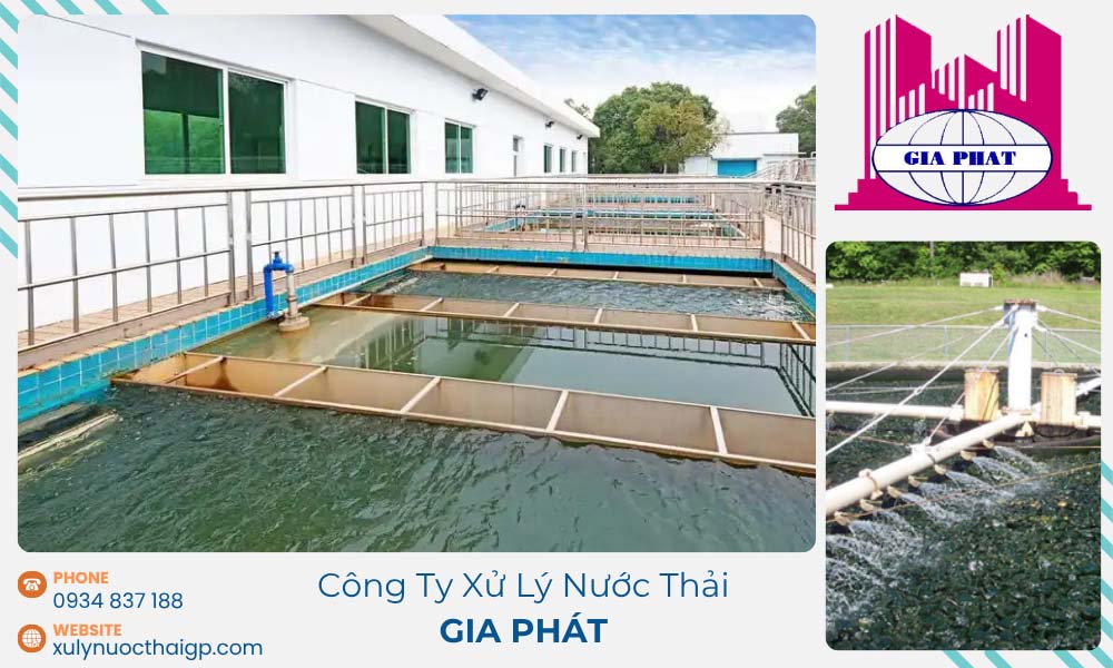 Xu-ly-nuoc-thai-bang-gia-the-sinh-hoc-co-dinh